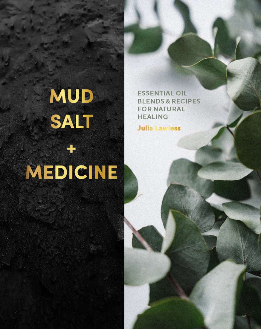 Book- Mud, Salt AND Medicine by Julia Lawless