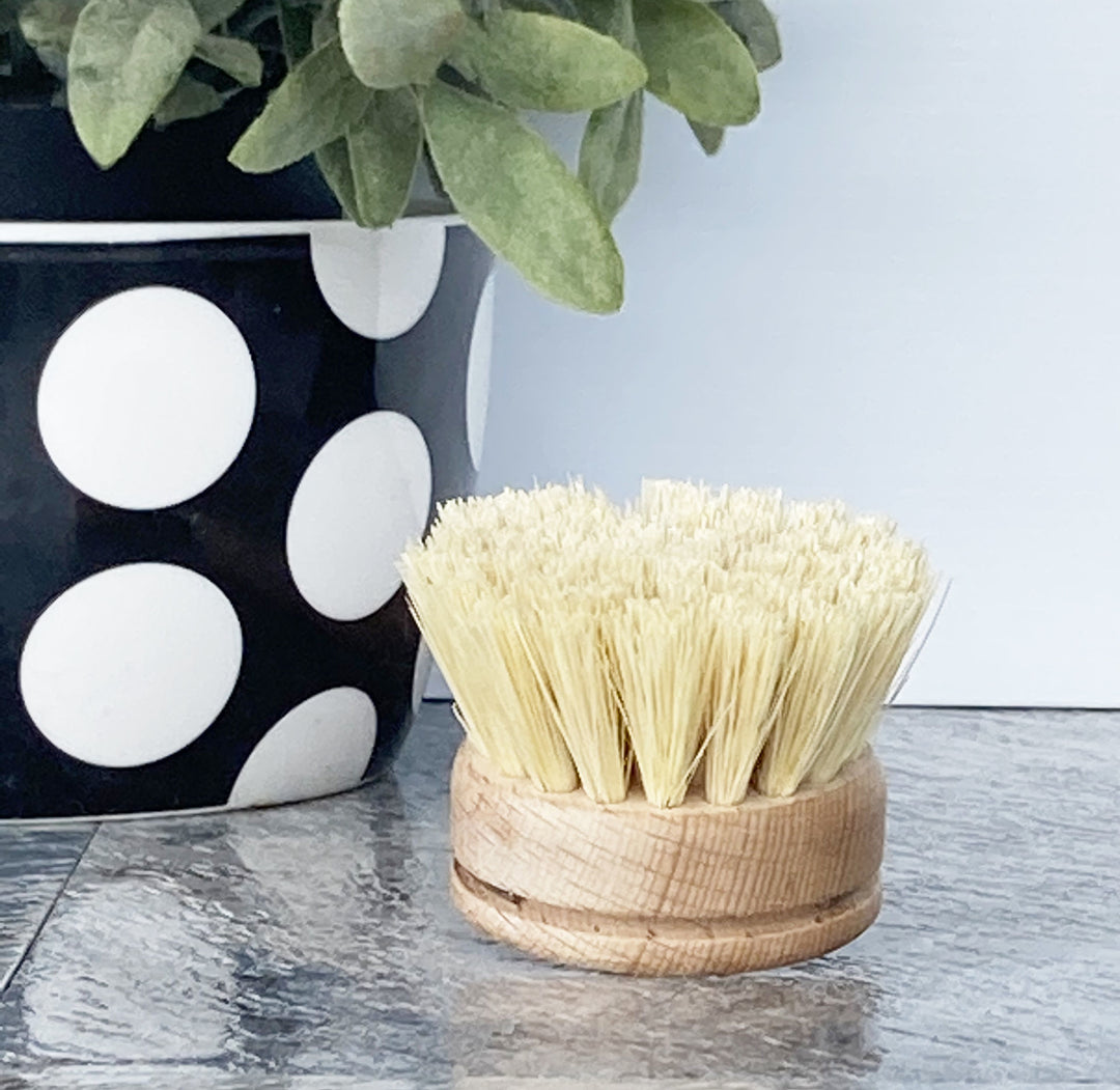 Dish Brush Replacement Head
