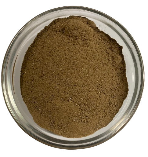 DEAD SEA MUD- POWDER
