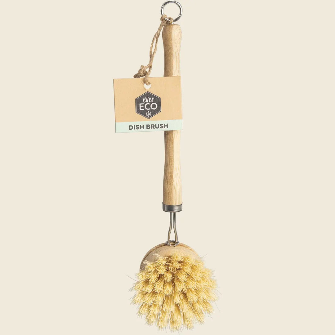 Dish Brush with Replaceable Head by Ever Eco