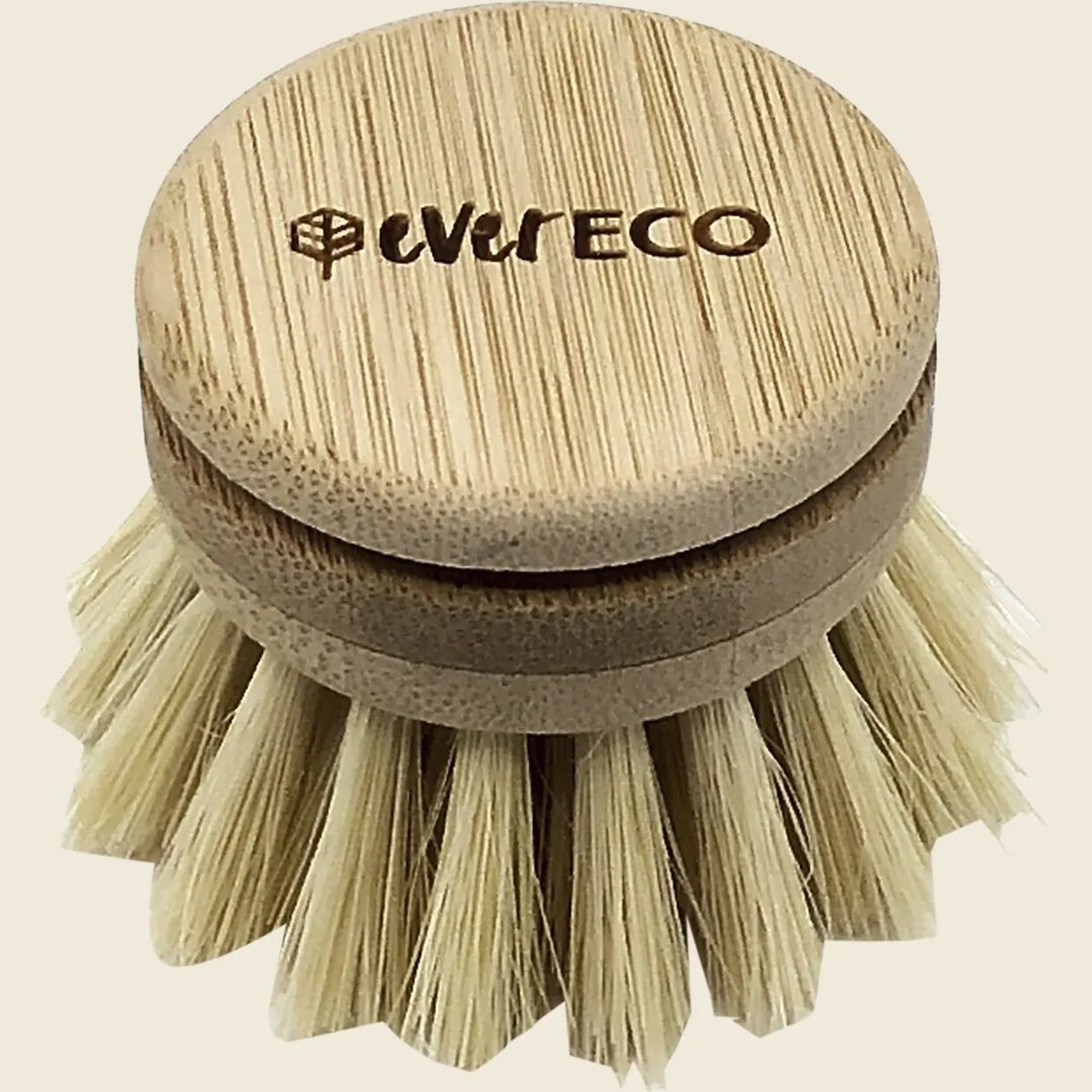 Dish Brush Replacement Head by EVER ECO